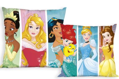 ΜΑΞΙΛΑΡΑΚΙΑ DISNEY PRINCESS 16 40Χ40 Digital Print