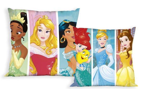 ΜΑΞΙΛΑΡΑΚΙΑ DISNEY PRINCESS 16 40Χ40 Digital Print